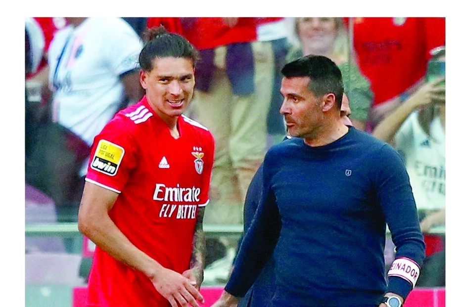 Nélson Veríssimo, Darwin