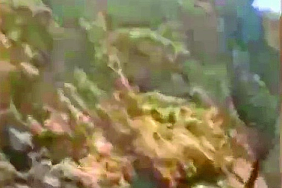 Mourad Lamrabatte, morreu