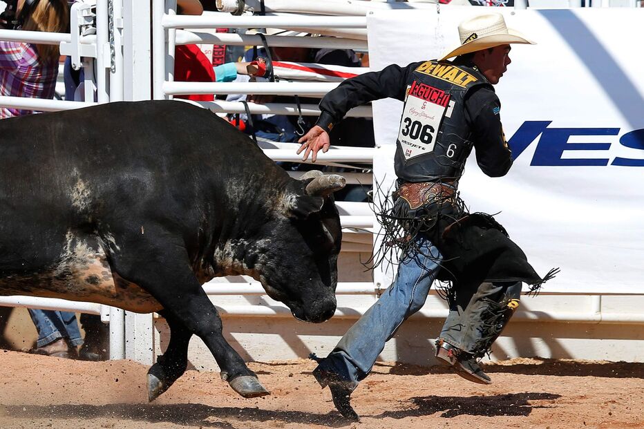 Seis espetadores feridos por touro no decorrer de evento na Califórnia