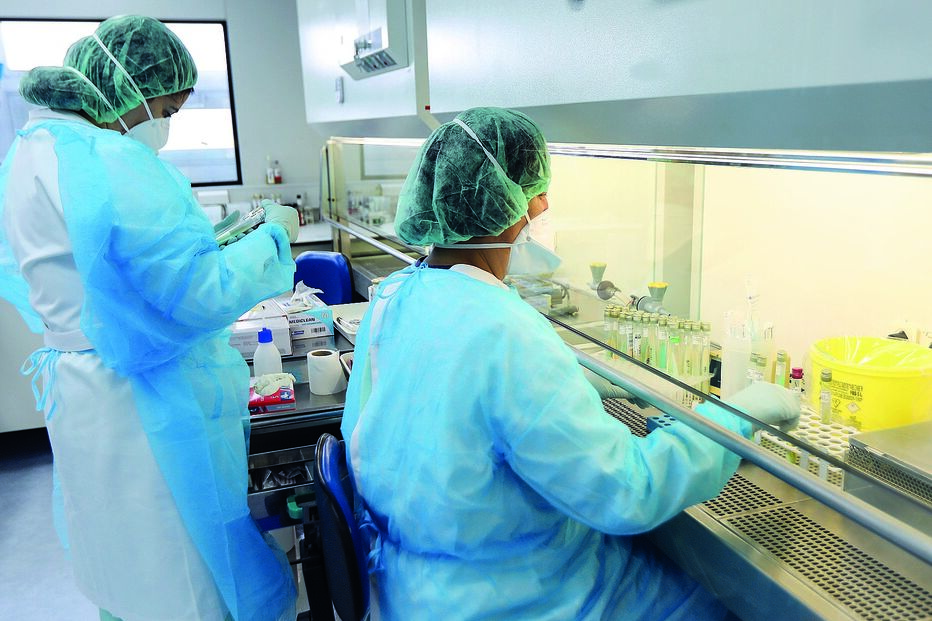 Descoberta do Insa pode ser fundamental para compreender a origem do surto e as causas da disseminação