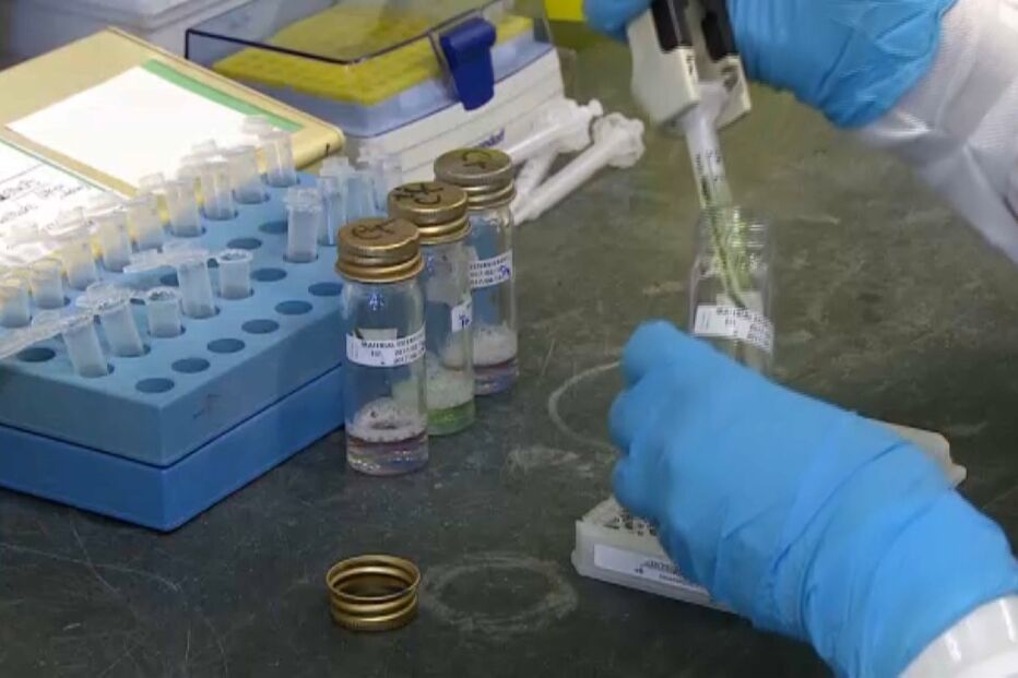 incidência, covid-19, testes comparticipados