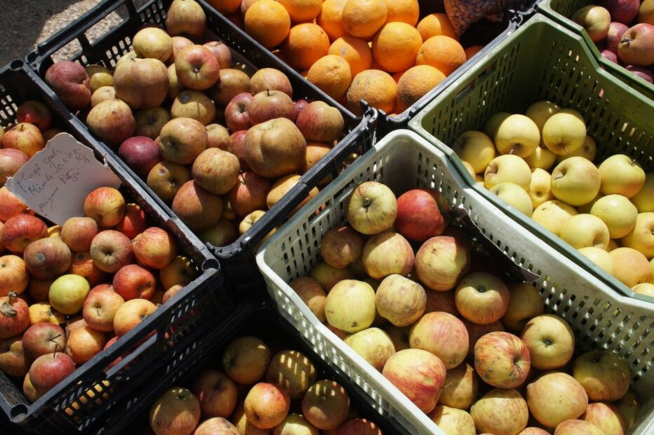 /fotospublicadas/Fotos/2-43006844 (14070753) (Milenium)