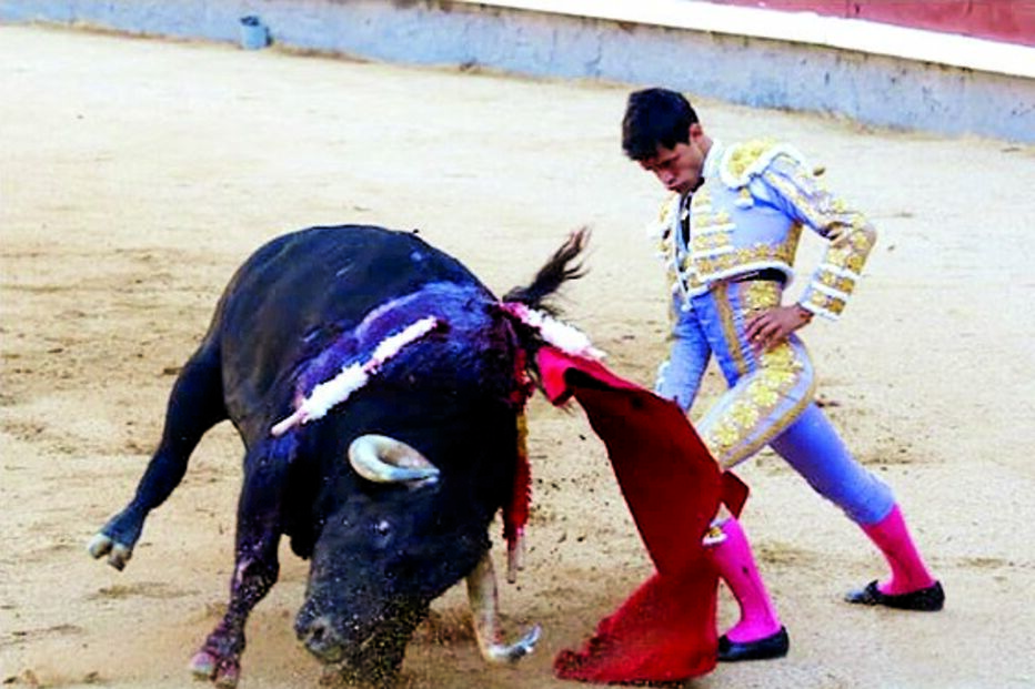 João Silva nasceu em Monforte, no Alentejo, mas aos 12 anos foi estudar para uma escola de toureiros em Badajoz 