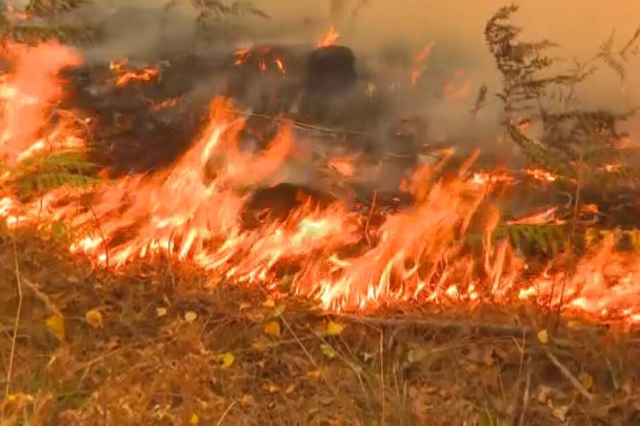 incêndio, risco, temperaturas elevadas