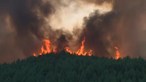 Seis concelhos de Faro, Santarém e Castelo Branco em perigo máximo de incêndio