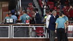 Rui Costa no centro da confusão no Benfica-Sporting 