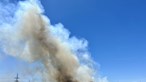 Incêndio na Charneca de Caparica mobiliza 99 operacionais e um meio aéreo