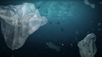De onde vem o plástico que contamina os nossos mares? Arranca hoje a Conferência dos Oceanos