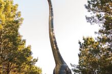 2022-06-01_15_41_24 Dino Parque_2.jpg