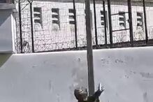 droga, telemóvel, cadeias, montijo, lisboa, prisões