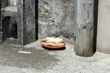 Frango junto ao portão de cemitério assusta população de Serzedo, em Vila Nova de Gaia