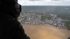 Mulher de jornalista inglês desaparecido na Amazónia diz que encontraram o corpo dele e do guia