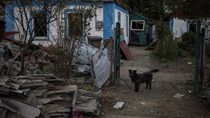 AO MINUTO: Terminada retirada de corpos em Izium, na Ucrânia, com 447 cadáveres