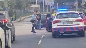 PSP saca da arma e usa gás pimenta depois de condutor o atropelar no Aeroporto de Lisboa 