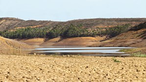 País em seca: Sete albufeiras com nível abaixo de 20%