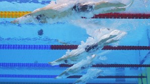 Portugal soma mais duas medalhas nos Mundiais de natação DSISO