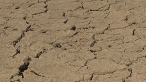 Governo reconhece oficialmente que todo o continente está em seca severa ou extrema