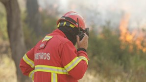 Cerca de 70 concelhos do interior Norte e Centro em perigo máximo de incêndio