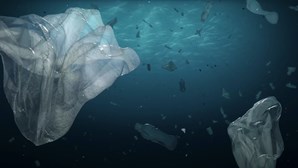 De onde vem o plástico que contamina os nossos oceanos?