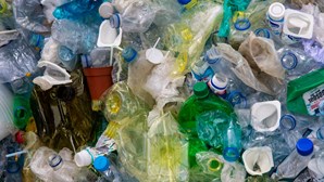 Cimeira com 193 países procura acordo internacional contra poluição por plásticos