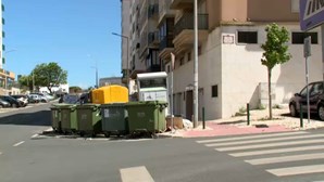 Autópsia revela que bebé encontrado no lixo em Sintra nasceu morto