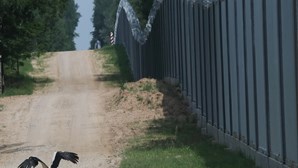 Polónia anuncia finalização de "muro de aço" na fronteira com Bielorrússia