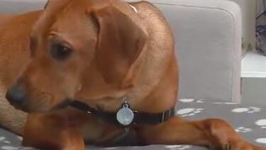 Veja o resultado final dos treinos de Atlas