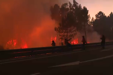 Agricultores e produtores florestais lesados por incendiário de Castelo Branco depõem no tribunal