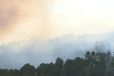 137 bombeiros, 40 viaturas e 9 meios aéreos combatem incêndio florestal em Castelo Branco