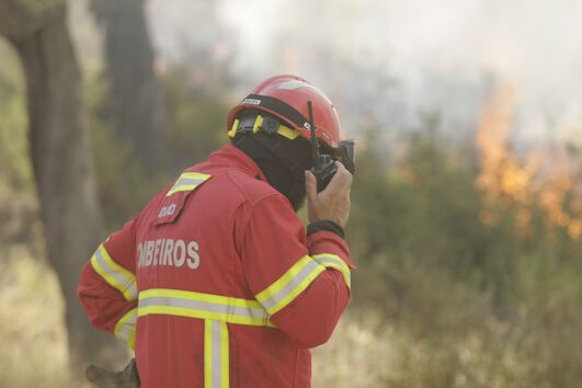 PJ deteve mulher de 44 anos suspeita de atear quatro fogos em Oleiros
