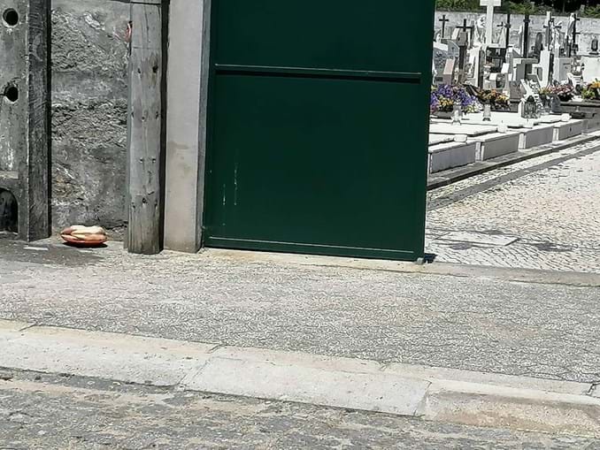 Frango junto ao portão de cemitério assusta população de Serzedo, em Vila Nova de Gaia