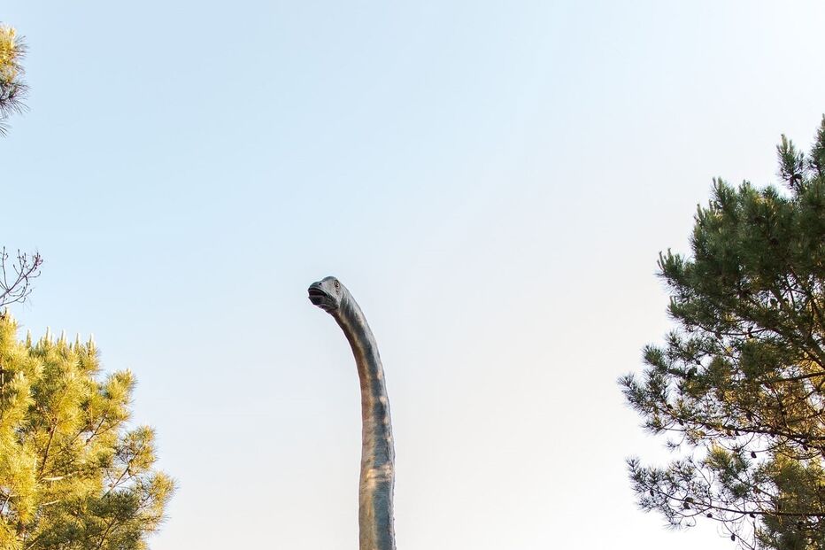 2022-06-01_15_41_24 Dino Parque_2.jpg