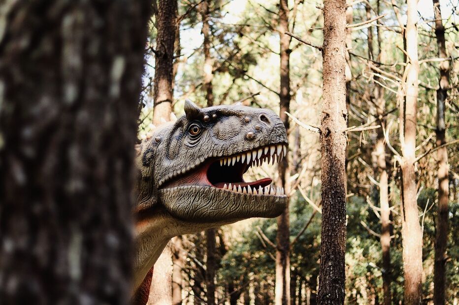 2022-06-01_15_41_25 Dino Parque_4.jpg