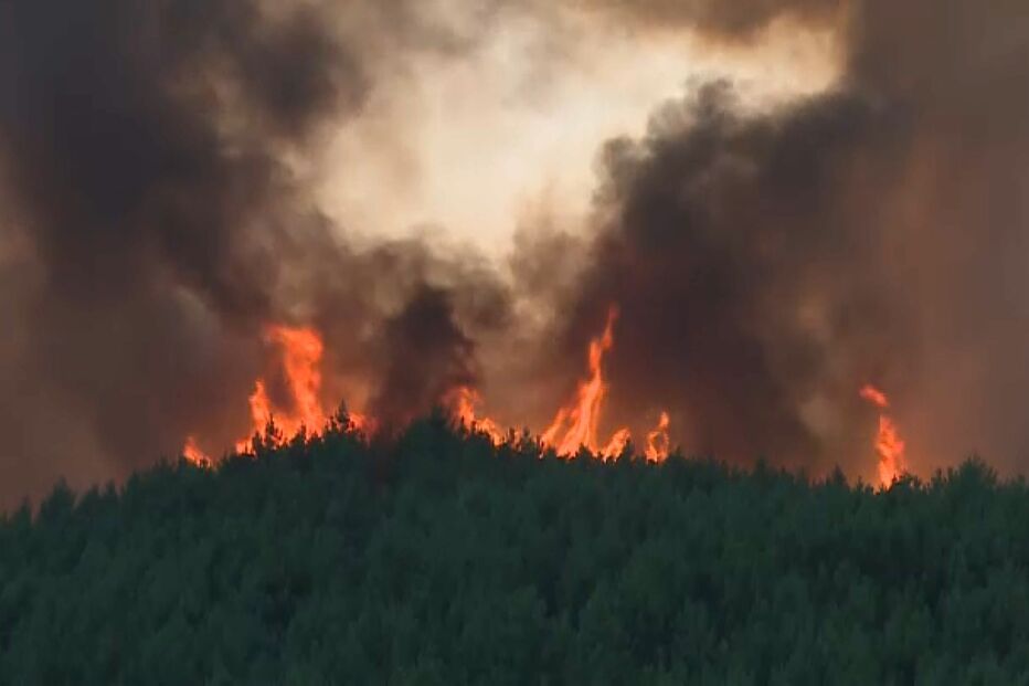 incêndios, pedrogão grande, decisão 