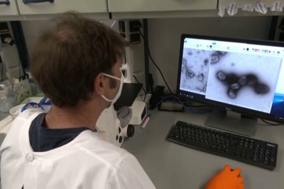 varíola dos macacos, portugal