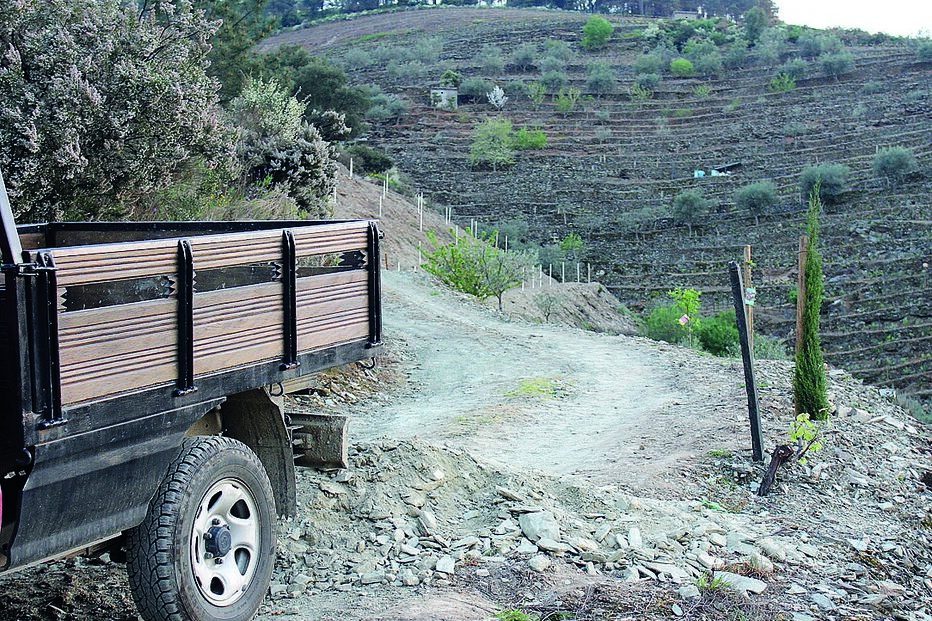 terreno, crime, valença do minho