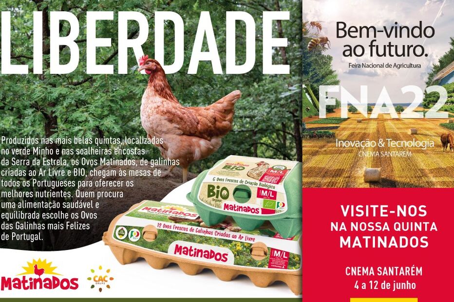 2022-06-03_09_45_47 Matinados x FNA_1024x650.jpg