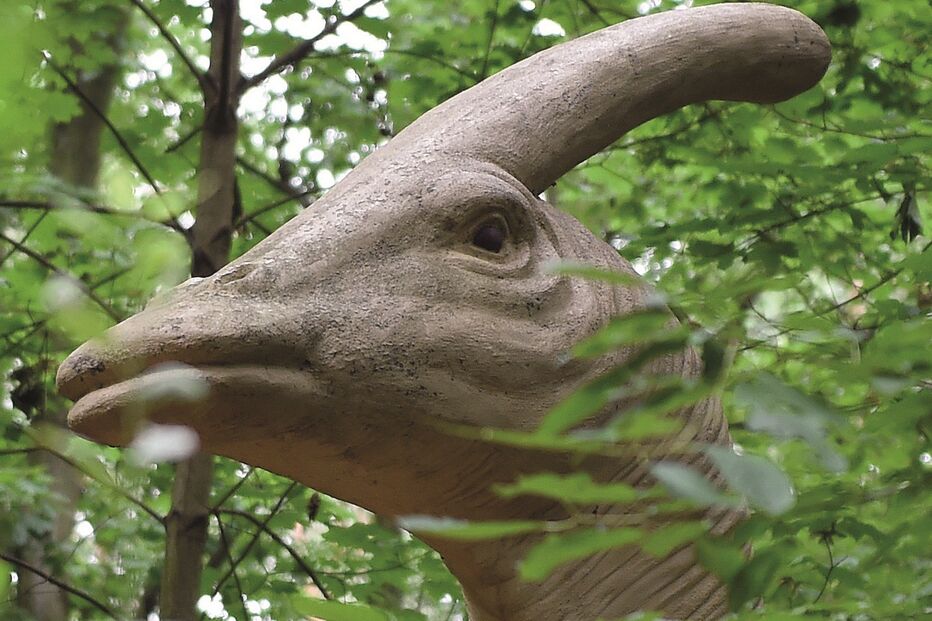 2022-06-03_15_21_23 Imagem GettyImages-1037831318.jpg