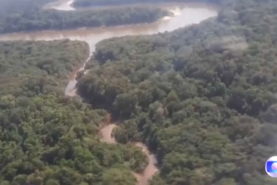 Jornalista do The Guardian e guia local desaparecem na Amazónia depois de ameaças