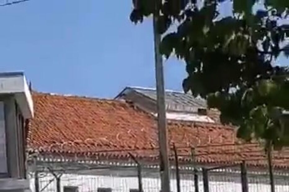 droga, telemóvel, cadeias, montijo, lisboa, prisões