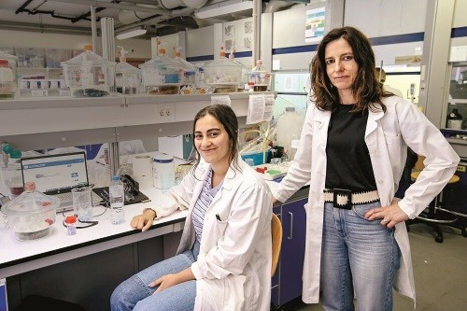Andreia Sousa e Beatriz Agostinho (sentada) são  investigadoras do CICECO - Instituto de Materiais de Aveiro