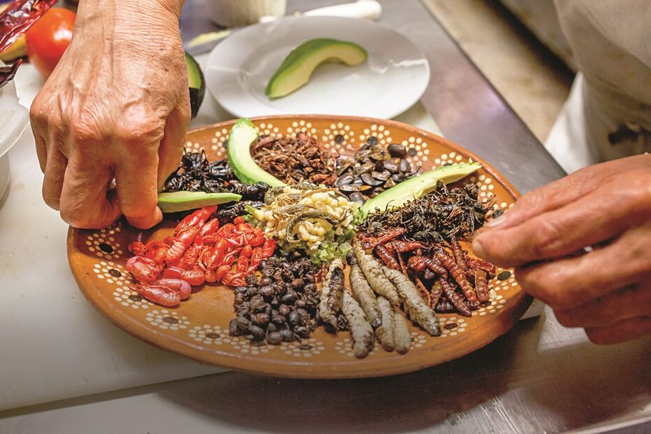 Alimentação rica em proteínas, vitaminas e minerais