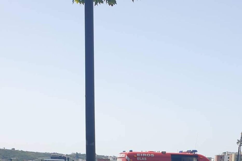 2022-06-12_13_30_58 WhatsApp Image 2022-06-12 at 13.19.47 (2).png