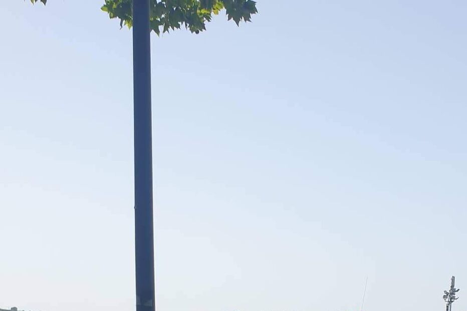 2022-06-12_13_30_59 WhatsApp Image 2022-06-12 at 13.19.47 (1).png