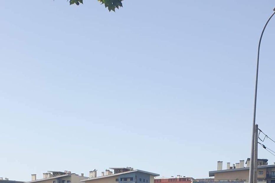 2022-06-12_13_31_00 WhatsApp Image 2022-06-12 at 13.19.47.png