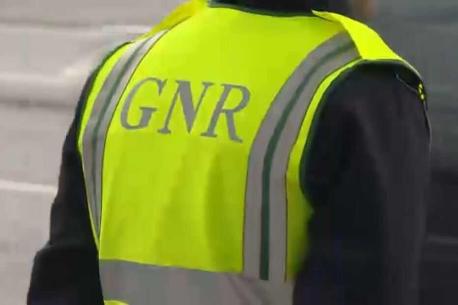 tutela, bebé baleado, irmão, gnr, setúbal 