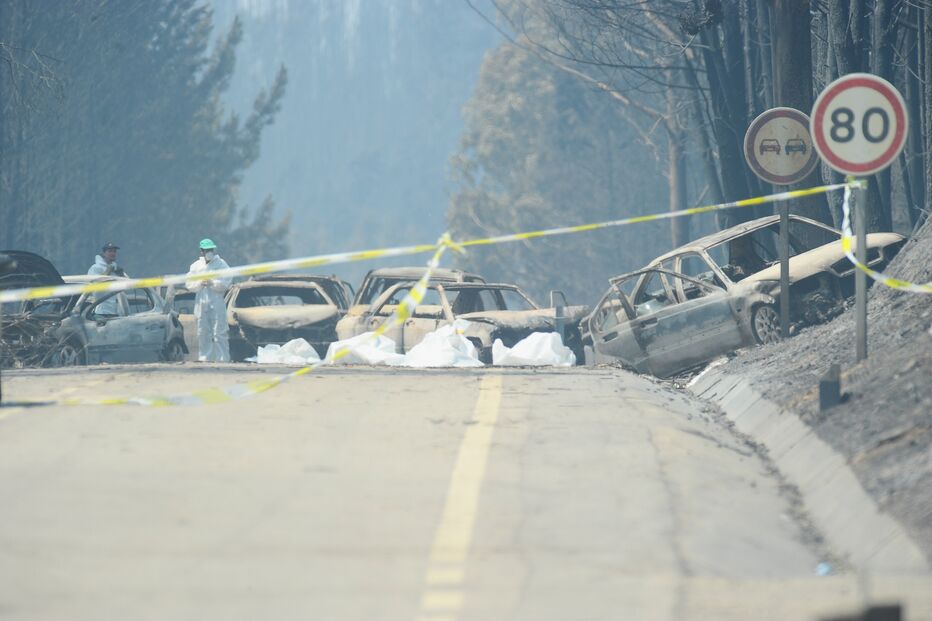 Nacional 236-1, pedrógão