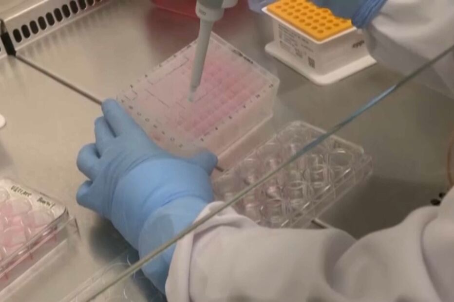 Varíola dos macacos