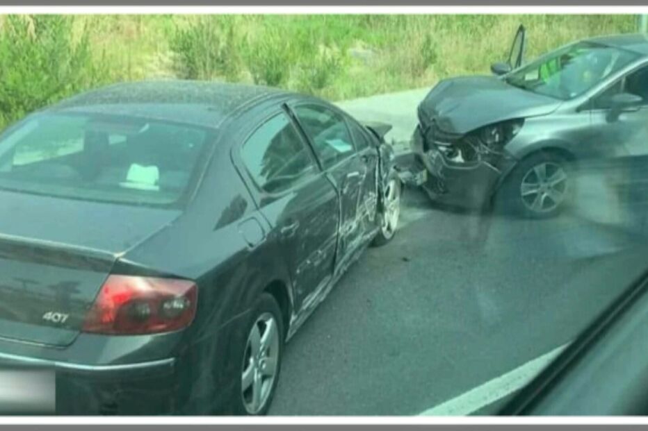 2022-06-17_21_29_42 grávida.jpg