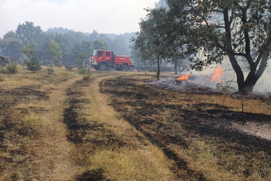 Incêndio na província espanhola de Zamora